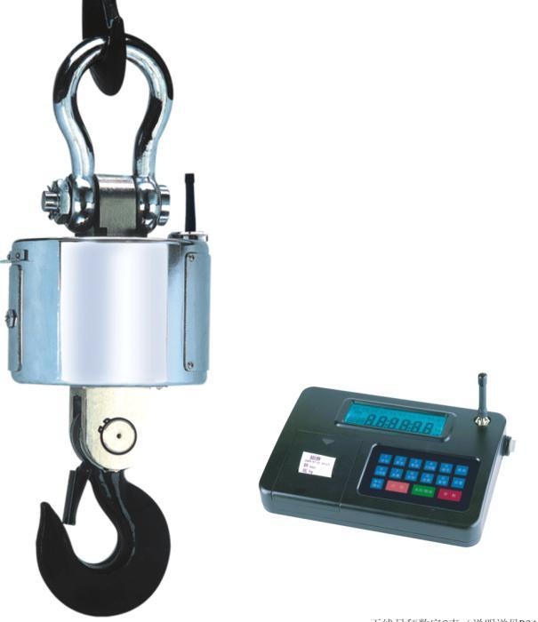 電子吊稱(chēng)